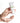 BioPhyto Balancing Cream Home Product