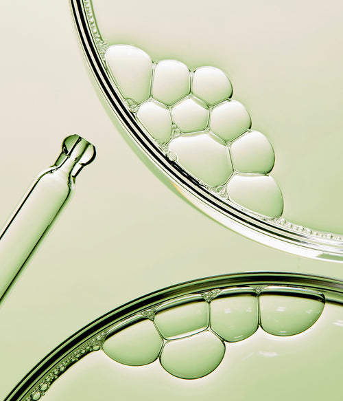 Comment ça fonctionne