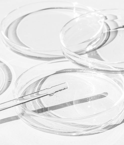 Comment ça fonctionne