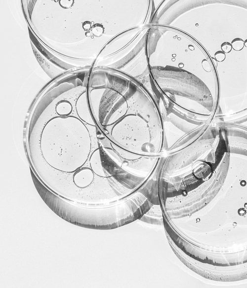 Comment ça fonctionne